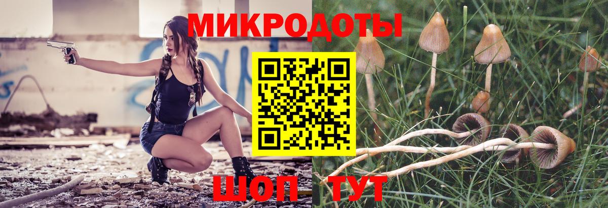 Галлюциногенные грибы Psilocybine cubensis Изобильный