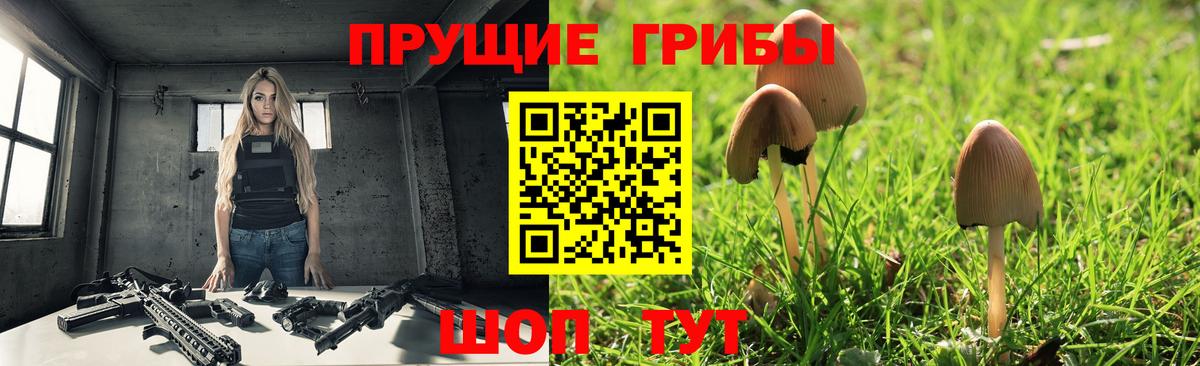 Галлюциногенные грибы мухоморы  сколько стоит  Галлюциногенные грибы Cubensis  Изобильный  Вход с VPN 